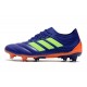 Chaussures Football adidas Copa 19.1 FG Violet Vert