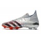 Nouvelles adidas Predator Freak.1 FG Argent Métallique Noir Foncé Equipe Bleu