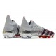Nouvelles adidas Predator Freak.1 FG Argent Métallique Noir Foncé Equipe Bleu