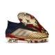 Chaussures de Foot adidas Predator 19+ FG Or Argent Rouge