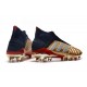 Chaussures de Foot adidas Predator 19+ FG Or Argent Rouge
