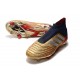 Chaussures de Foot adidas Predator 19+ FG Or Argent Rouge