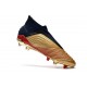 Chaussures de Foot adidas Predator 19+ FG Or Argent Rouge