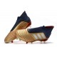 Chaussures de Foot adidas Predator 19+ FG Or Argent Rouge
