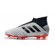 Chaussures de Foot adidas Predator 19+ FG Argent Noir Rouge