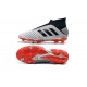 Chaussures de Foot adidas Predator 19+ FG Argent Noir Rouge