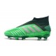 Chaussures de Foot adidas Predator 19+ FG Vert Argent
