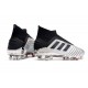 Chaussures de Foot adidas Predator 19+ FG Argent Noir