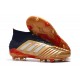 Chaussure adidas Predator 19.1 FG - Or Argent Rouge