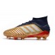 Chaussure adidas Predator 19.1 FG - Or Argent Rouge
