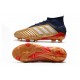 Chaussure adidas Predator 19.1 FG - Or Argent Rouge