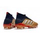 Chaussure adidas Predator 19.1 FG - Or Argent Rouge