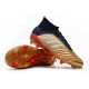 Chaussure adidas Predator 19.1 FG - Or Argent Rouge