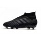 Chaussure adidas Predator 19.1 FG - Noir
