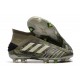 Chaussure de Foot adidas Predator 19+ FG -Héritage Vert/ Sable/Jaune solaire